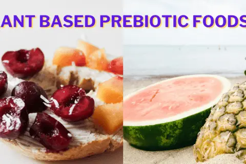 Super Plant Based Prebiotic Foods for Gut Health